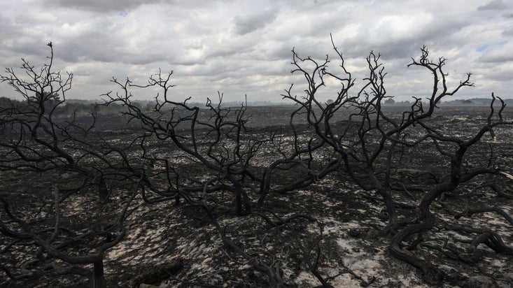 Fire damage at Dunwich Heath, Suffolk, in July 2026